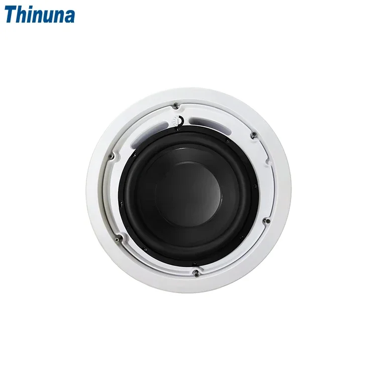 2025 Thinuna MS-10SUB-L II Hom - Audio Music Background Free incelemesi ve fiyatı