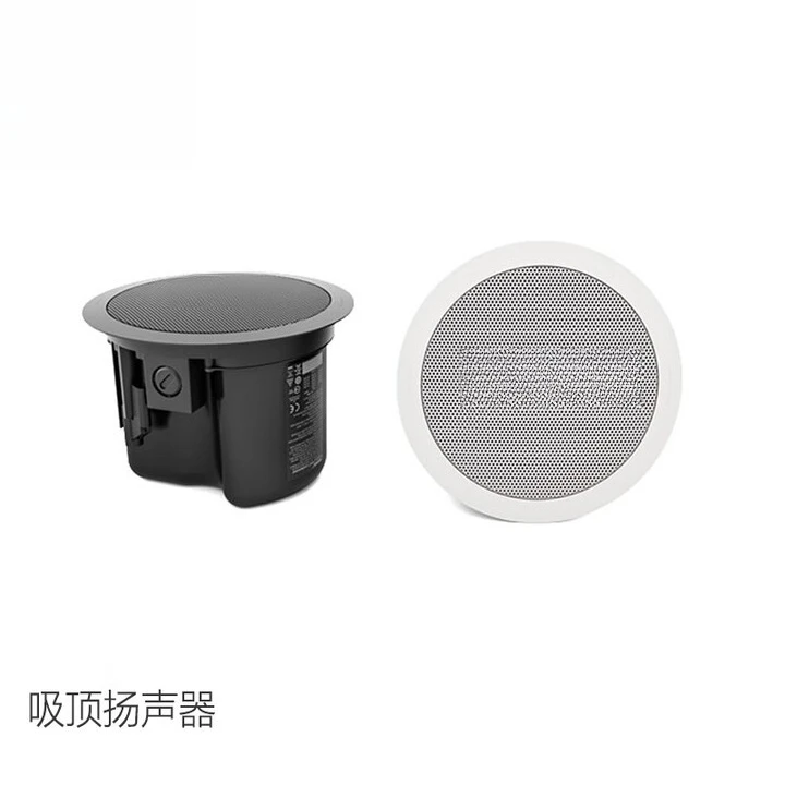 Ceiling audio, fixed pressure  - Audio Music Store incelemesi ve fiyatı