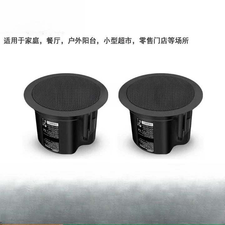 Ceiling audio, fixed pressure  - Audio Music Store incelemesi ve fiyatı