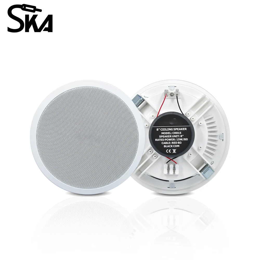 PW4420T+CR815 Smart Home Audio - Audio Music Background Free incelemesi ve fiyatı