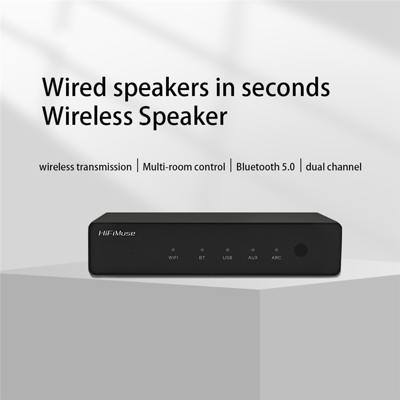 Hifimuse R20 Wireless Wifi Blu - Audio Music Spotify incelemesi ve fiyatı