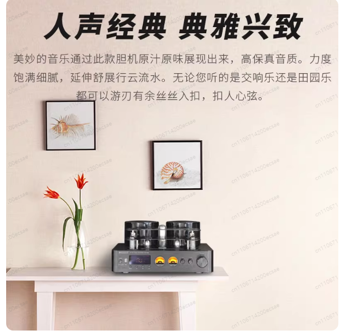 220V 400W * 2 High Fidelity Wi - Audio Youtube Music Free incelemesi ve fiyatı