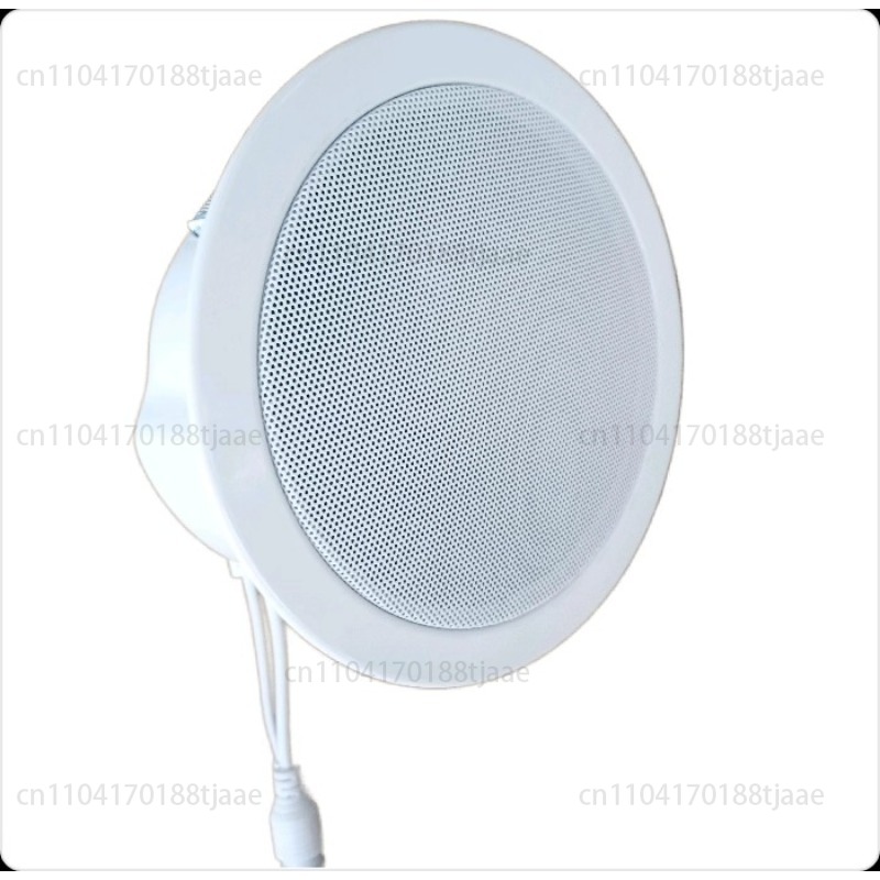 IP Network Speaker, Ceiling Au - Audio Music Store incelemesi ve fiyatı