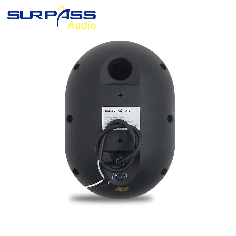 30W Wall-mounted Speaker Water - Audio Music Background Free incelemesi ve fiyatı